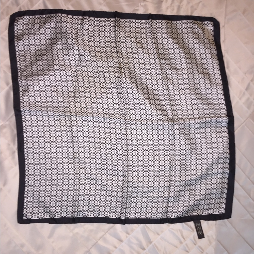 Silk Coach scarf
